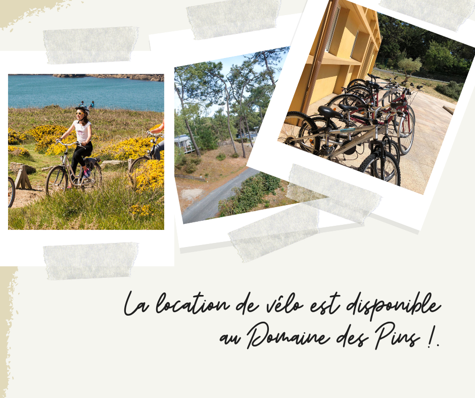Location de vélo au camping en Vendée